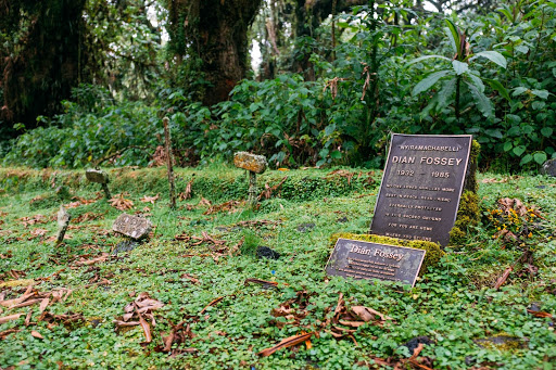 Dian Fossey plaque