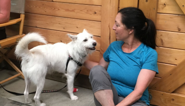 Introduction to Animal Communication – Package of 3 Classes