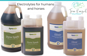 Electrolytes for humans and horses