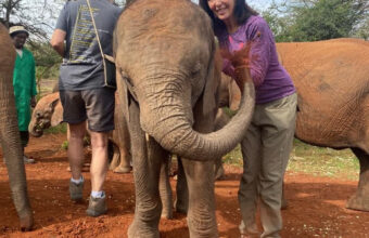 Joan Ranquet and Ambo the elephant